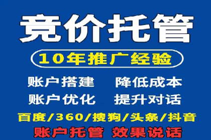 某某SEM服务公司成功案例：从数据出发的营销策略